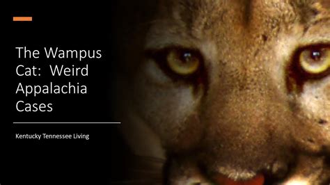 Why Did the Wampus Cat Prowl through the Smoky Mountains with its Eyes Glowing Red?