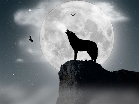  Howl at the Moon: A 15th Century Egyptian Tale Exploring Fear, Courage, and Societal Expectations