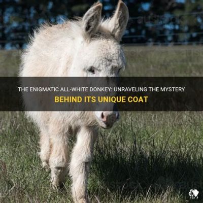 The Legend of the Talking Donkey: Unraveling the Mysteries of Ancient Iberian Wisdom!